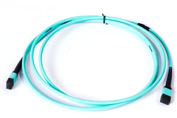 Patch Cord Assemblies (MPO Trunk Cable)